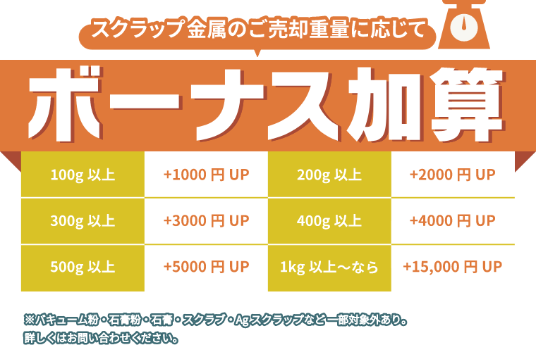 CAMPAIGN | ミントエス