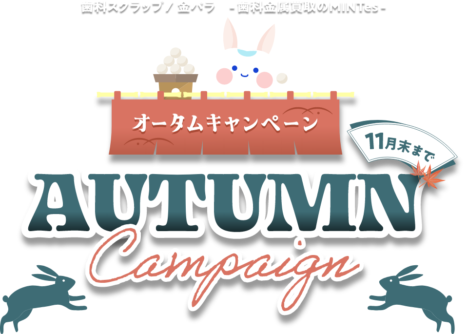 サマーキャンペーン