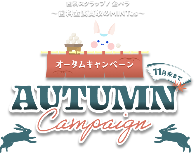 CAMPAIGN | ミントエス